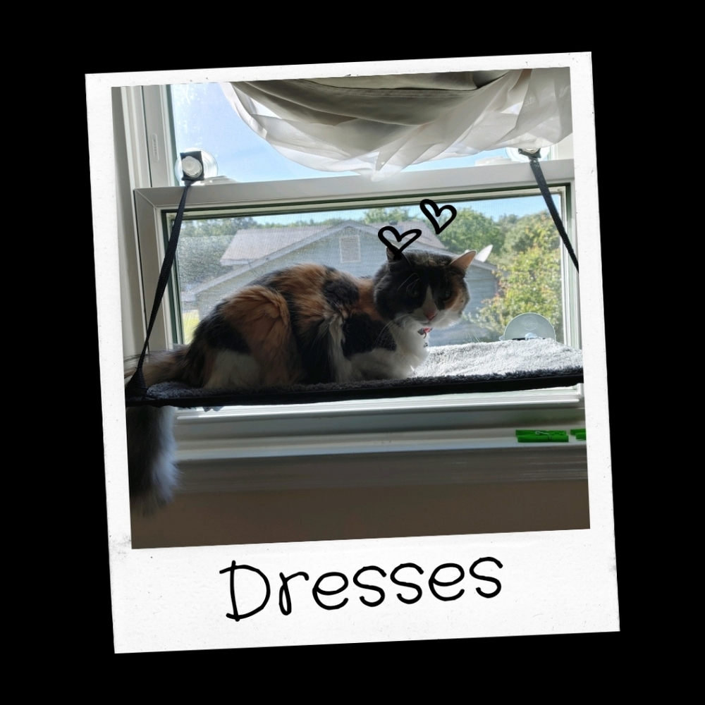 Dresses